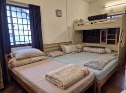 Lorong Siglap (D15), Semi-Detached #609035501